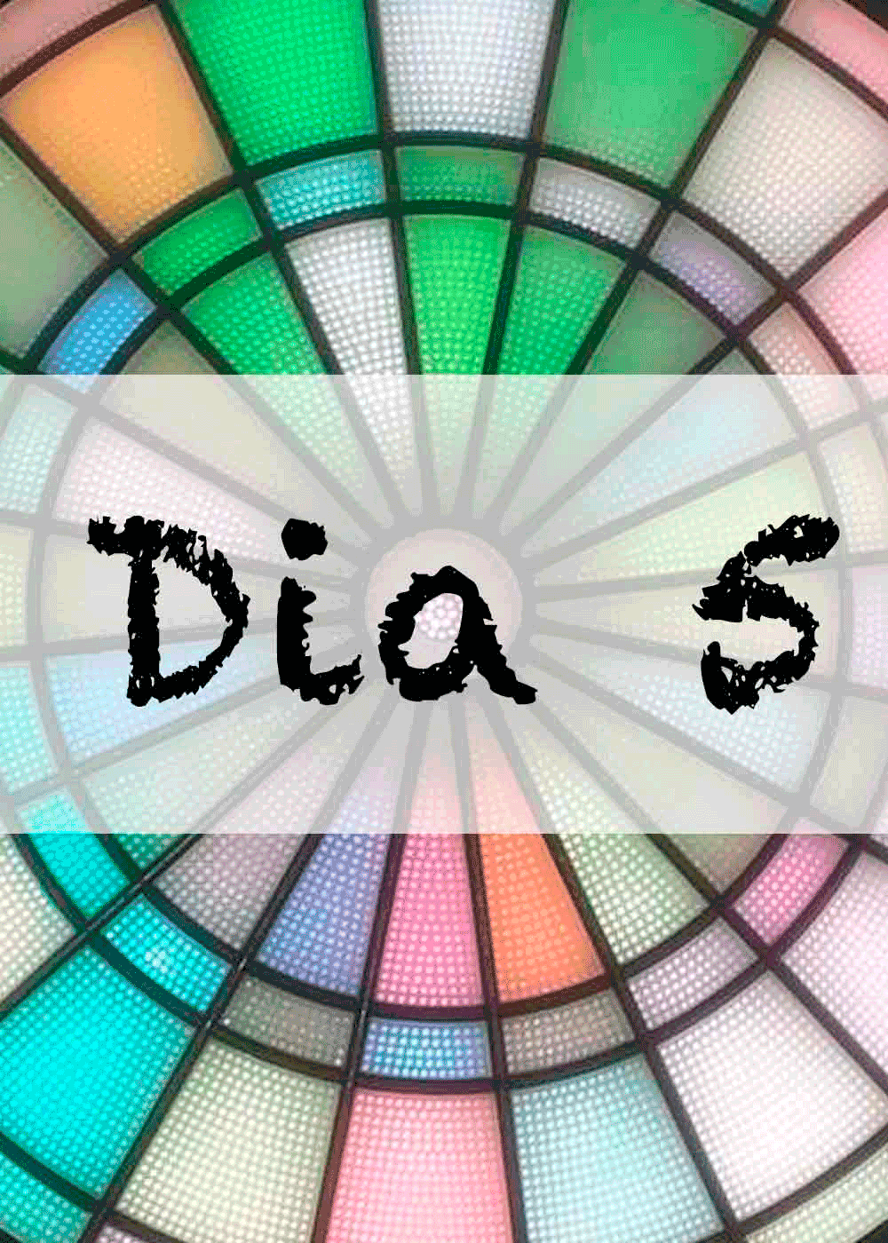 Día 5