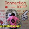 cc13-0316