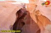 fede-lv2014-1-0077