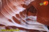 fede-lv2014-1-0078