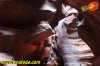 fede-lv2014-1-0080