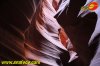 fede-lv2014-1-0081