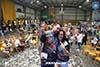MDC23-0542