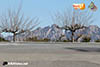 ON19-2-0075