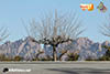 ON19-2-0078