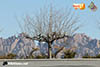 ON19-2-0080