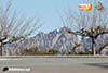 ON19-2-0081