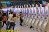 RAD16-3-1235