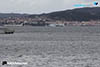 RAD18-3-1190