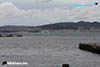 RAD18-3-1191